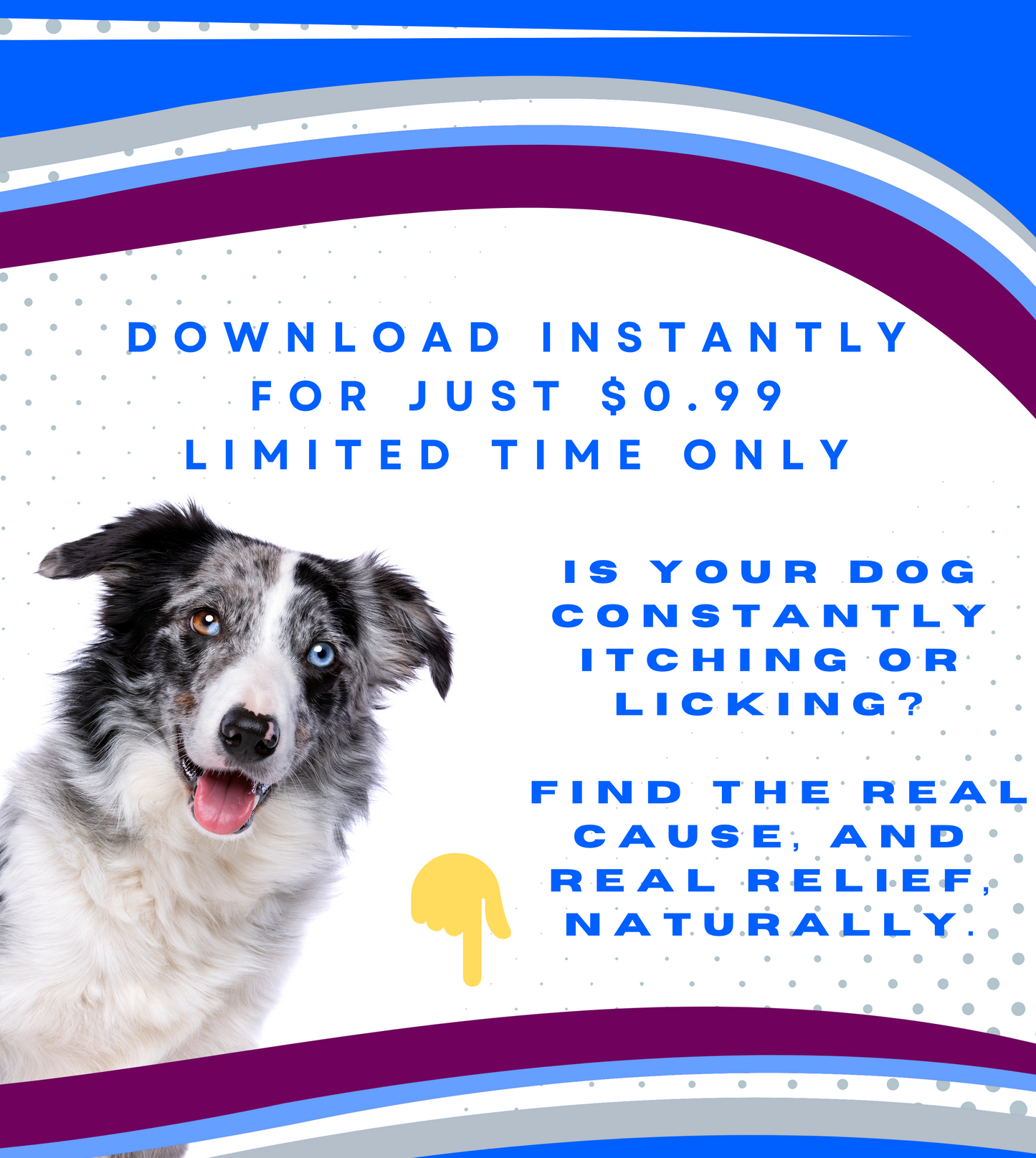 Finally, real answers for your dog’s itching, licking, and allergy struggles. ADD TO CART TO get real lifelong relief for itchy skin - Instant download for only $0.99