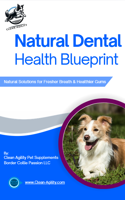 Natural Dental Health Blueprint for Dogs