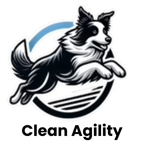 Clean Agility