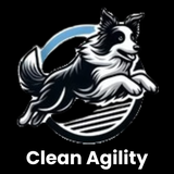 Clean Agility
