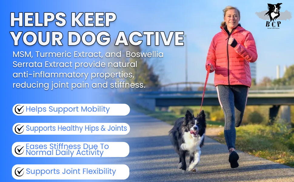 Clean Agility Joint Health for Dogs - Powder