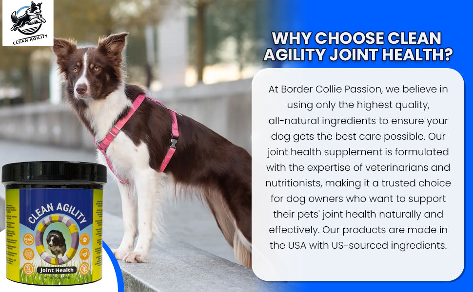 Clean Agility Joint Health for Dogs - Powder