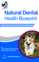 Natural Dental Health Blueprint for Dogs